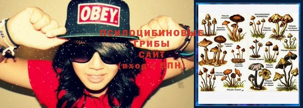 трава Киреевск